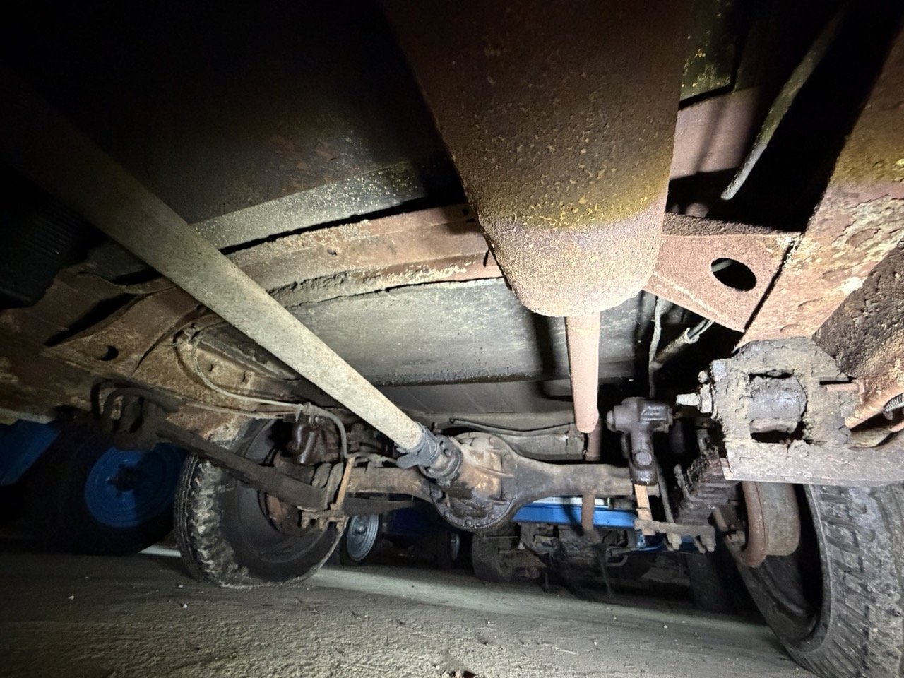 IMG_2496 – grande.jpeg