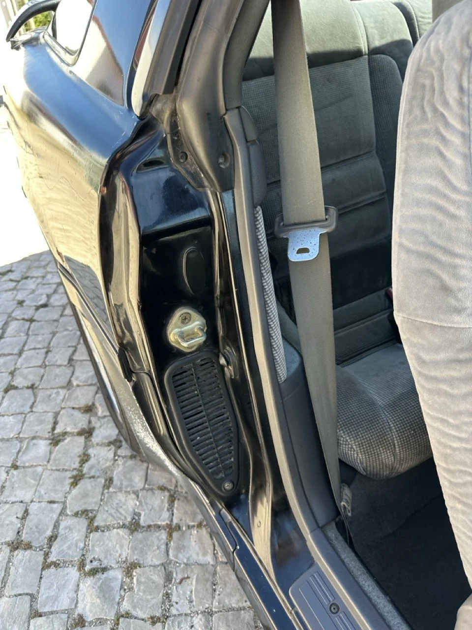 IMG_3101 – grande.jpeg