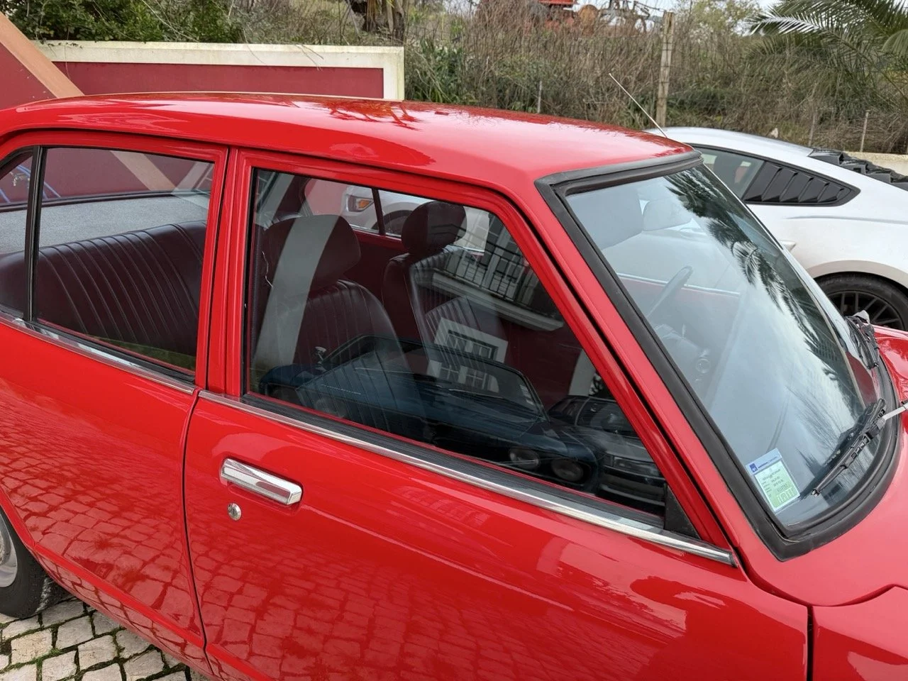 IMG_8288 – grande.jpeg