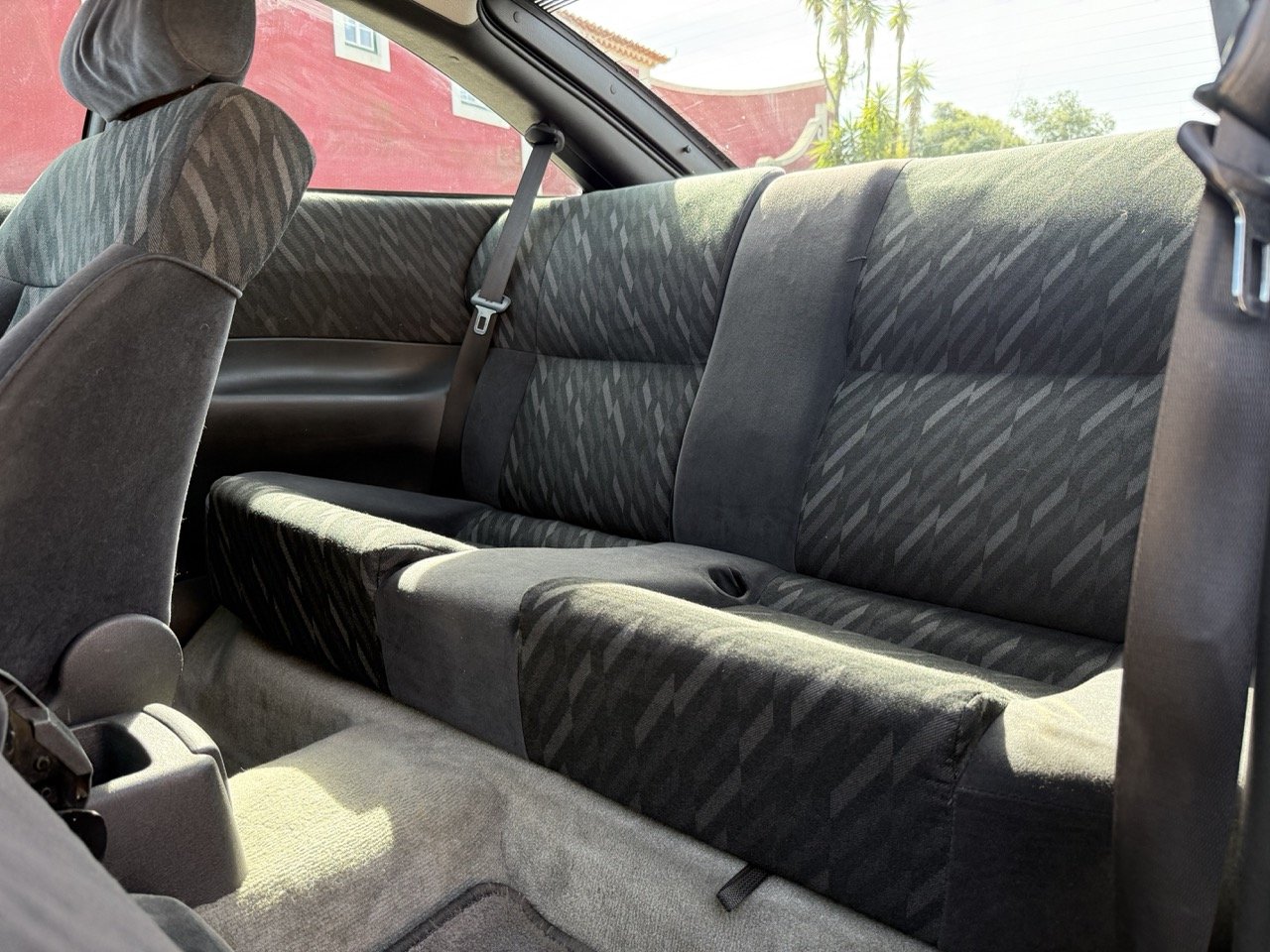 IMG_2401 – grande.jpeg