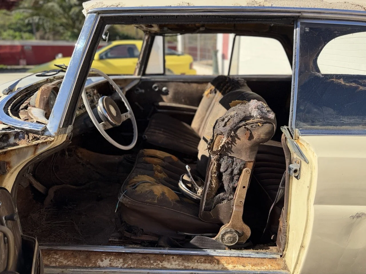 IMG_7014 – grande.jpeg