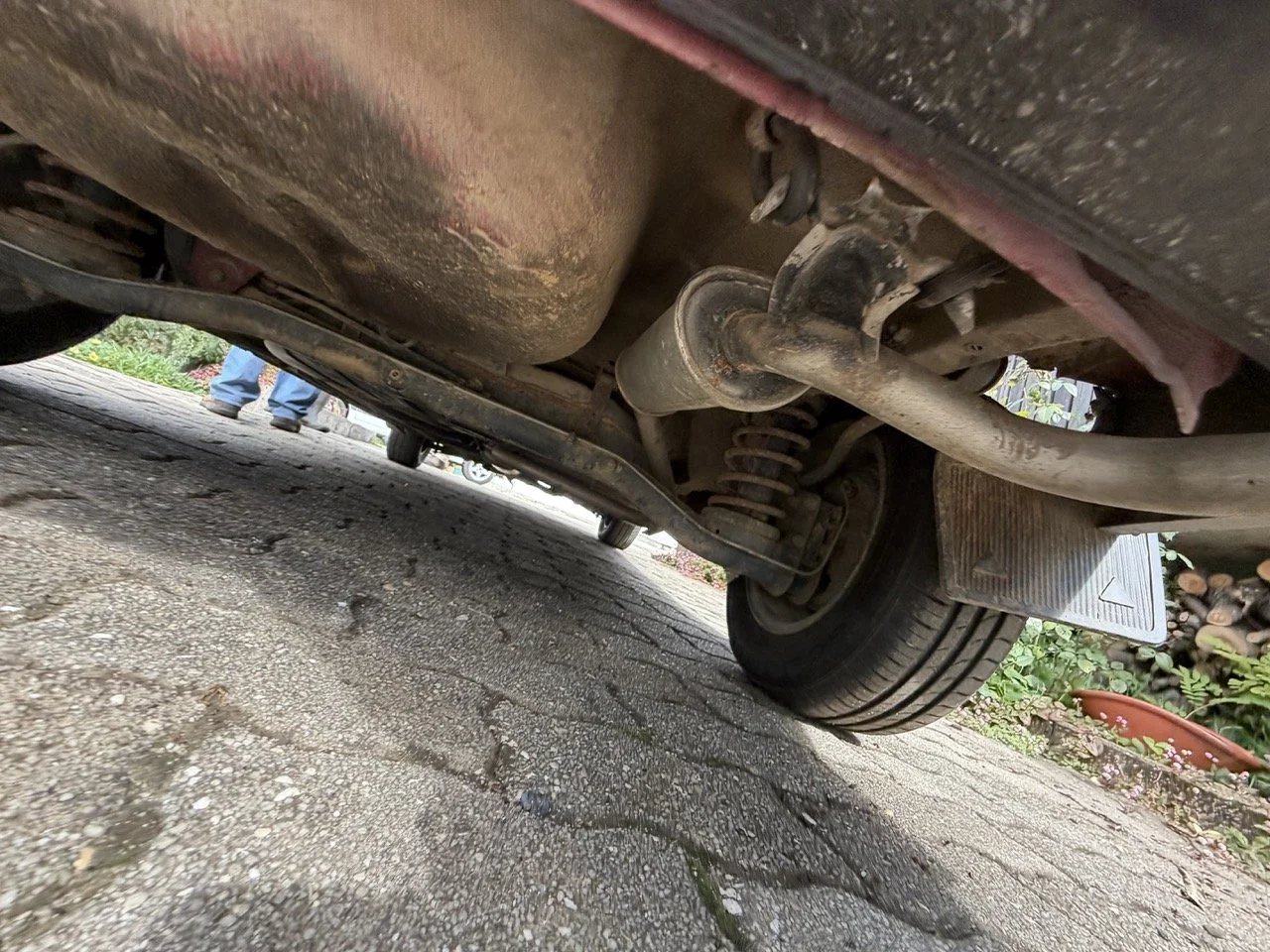 IMG_3272 – grande.jpeg