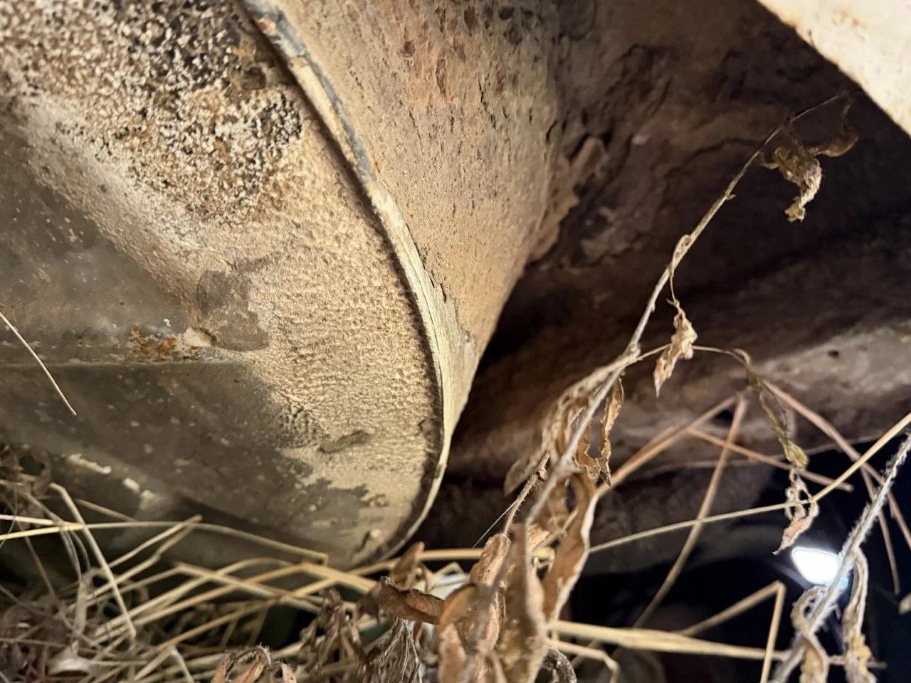 IMG_5199 – grande.jpeg