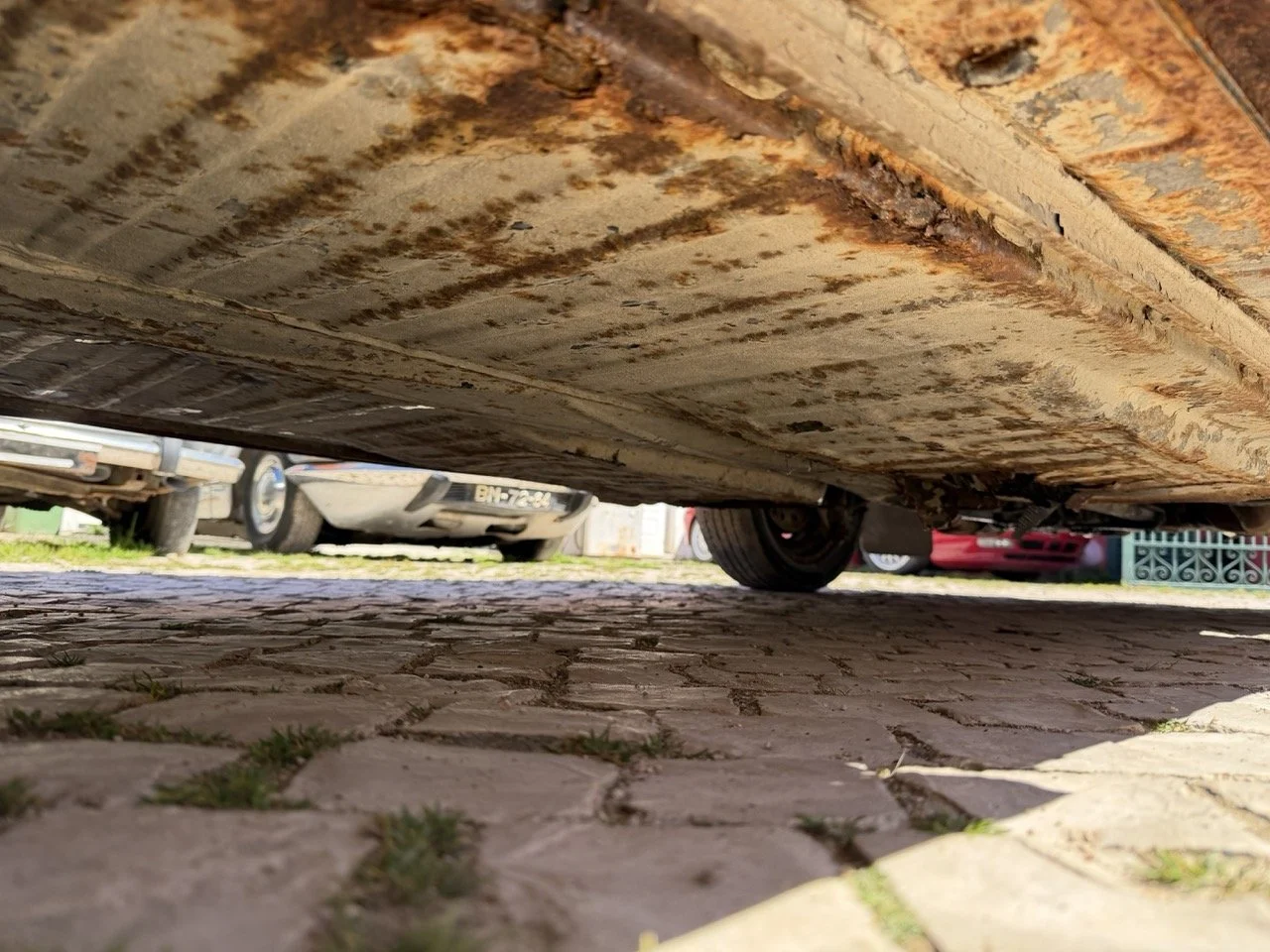 IMG_7606 – grande.jpeg