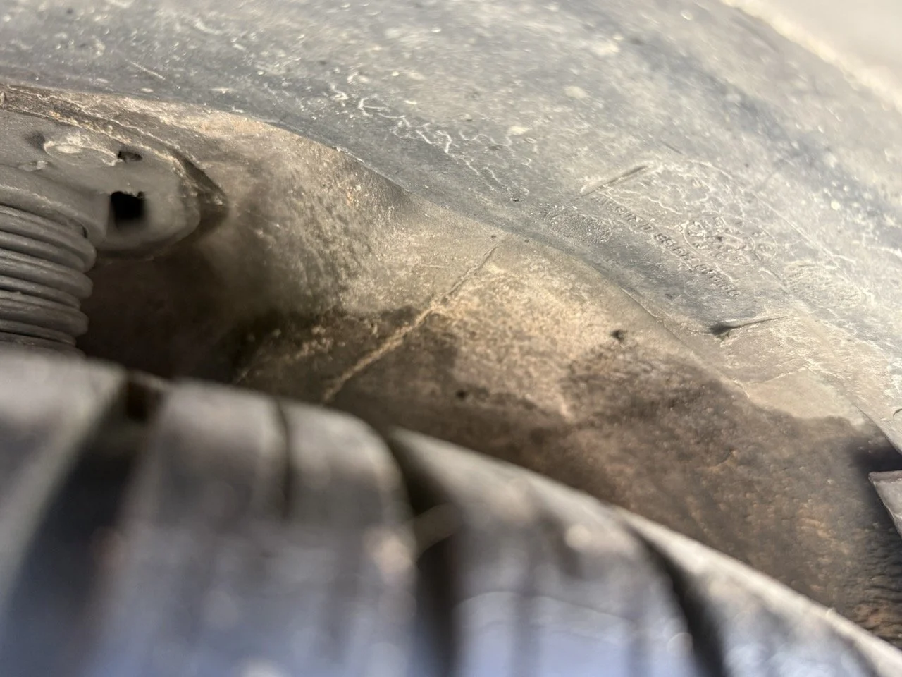 IMG_2640 – grande.jpeg