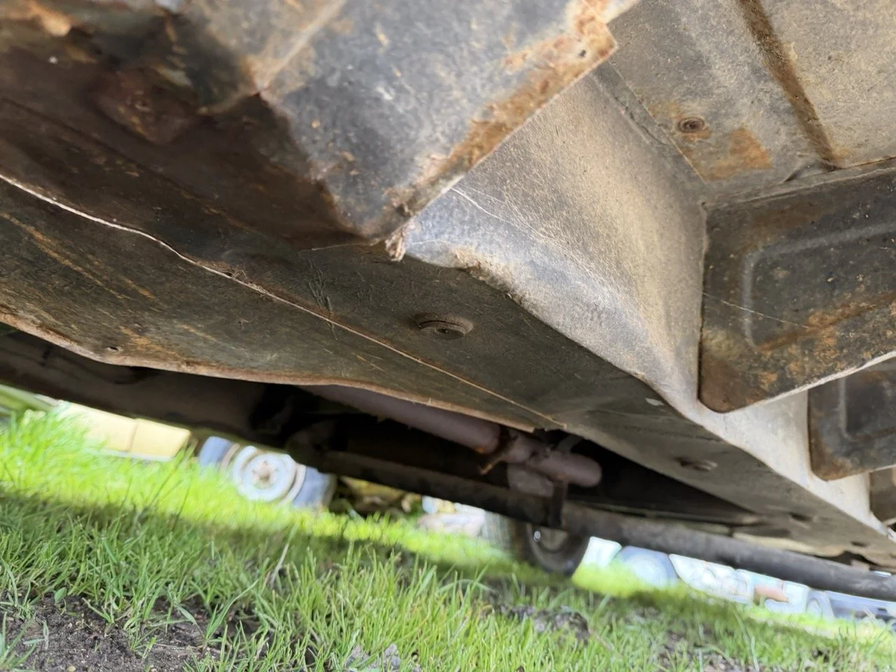 IMG_1353 – grande.jpeg