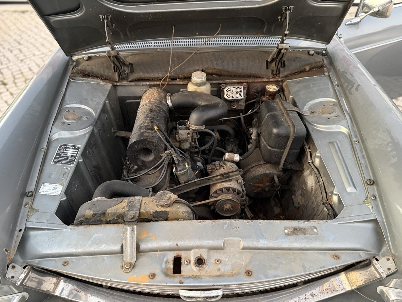 IMG_7504 – grande.jpeg