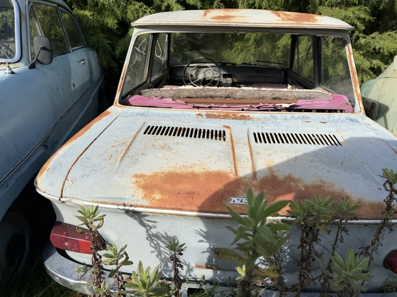 IMG_8551 – grande.jpeg