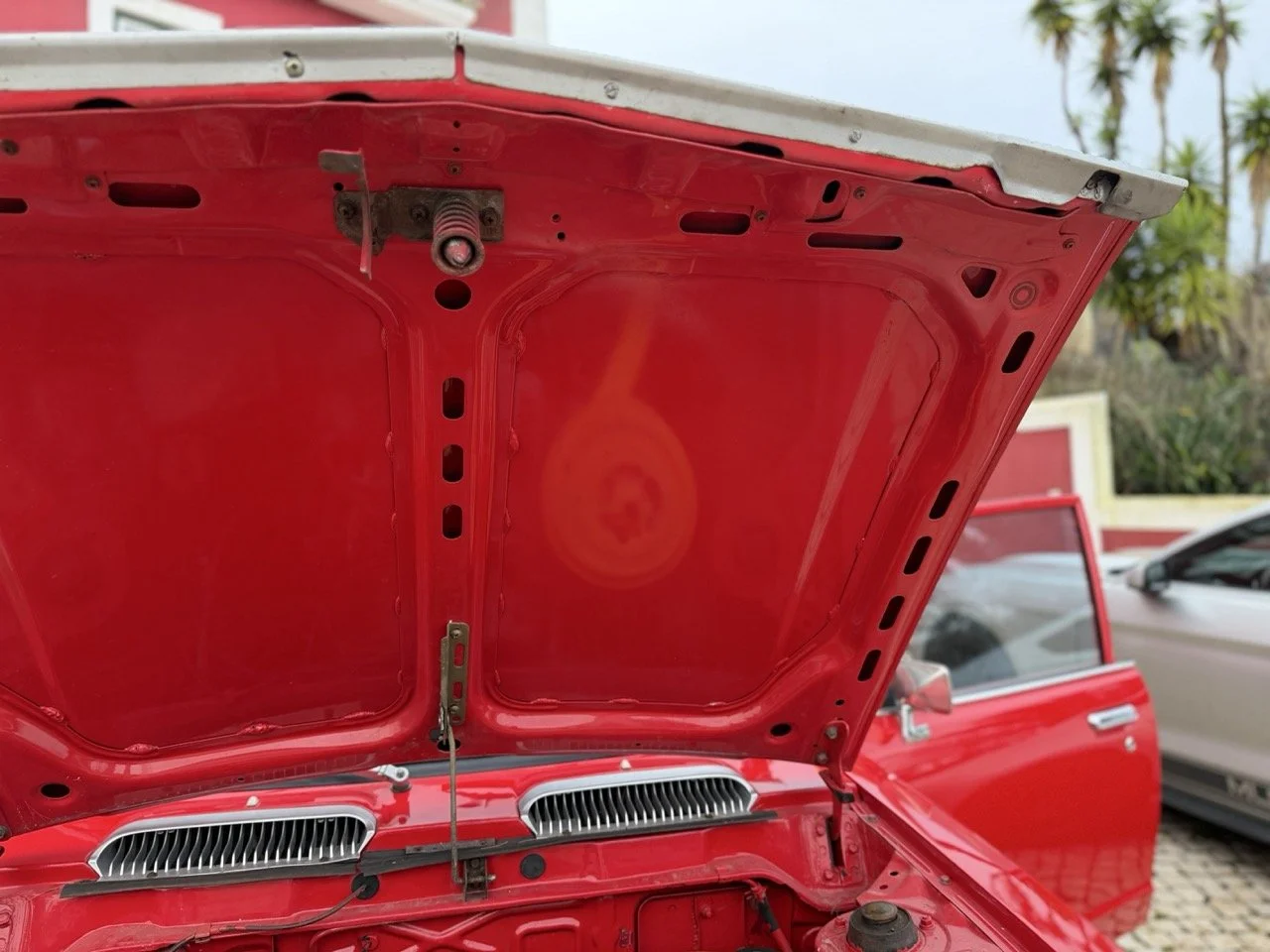 IMG_8256 – grande.jpeg