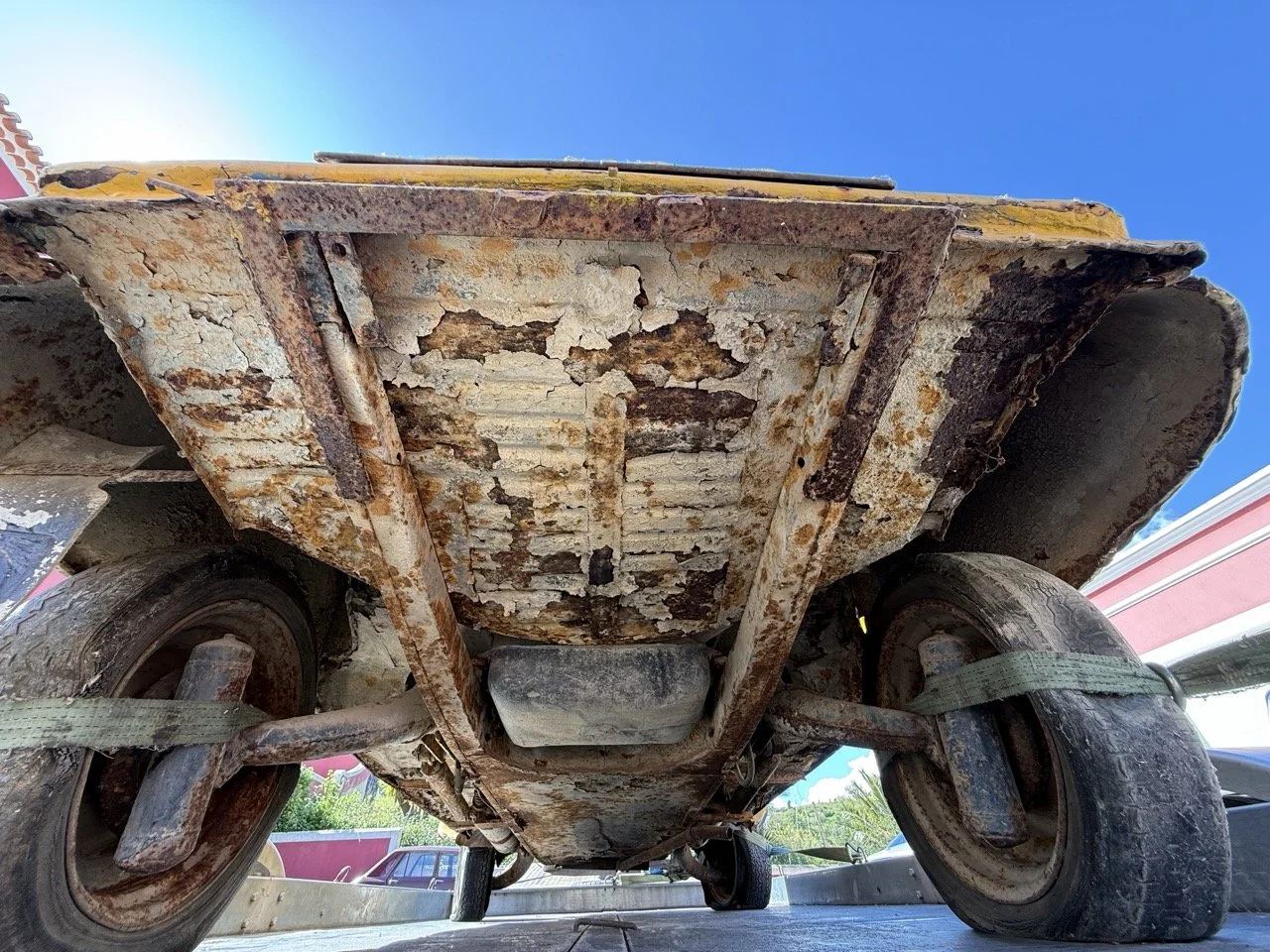 IMG_9131 – grande.jpeg