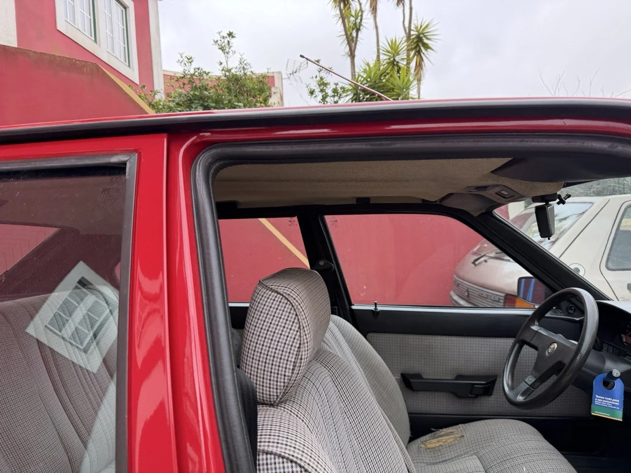 IMG_3454 – grande.jpeg