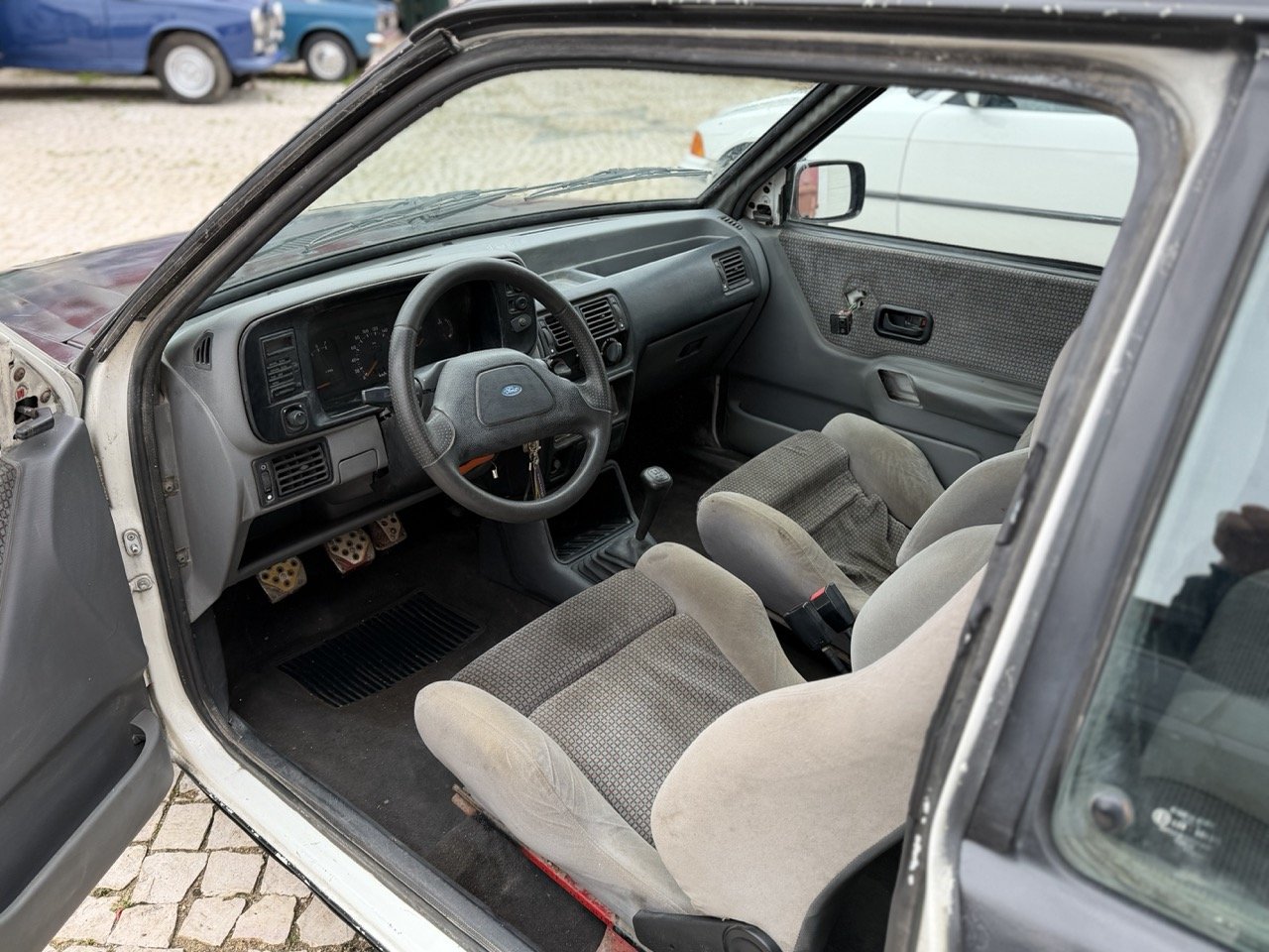 IMG_1262 – grande.jpeg