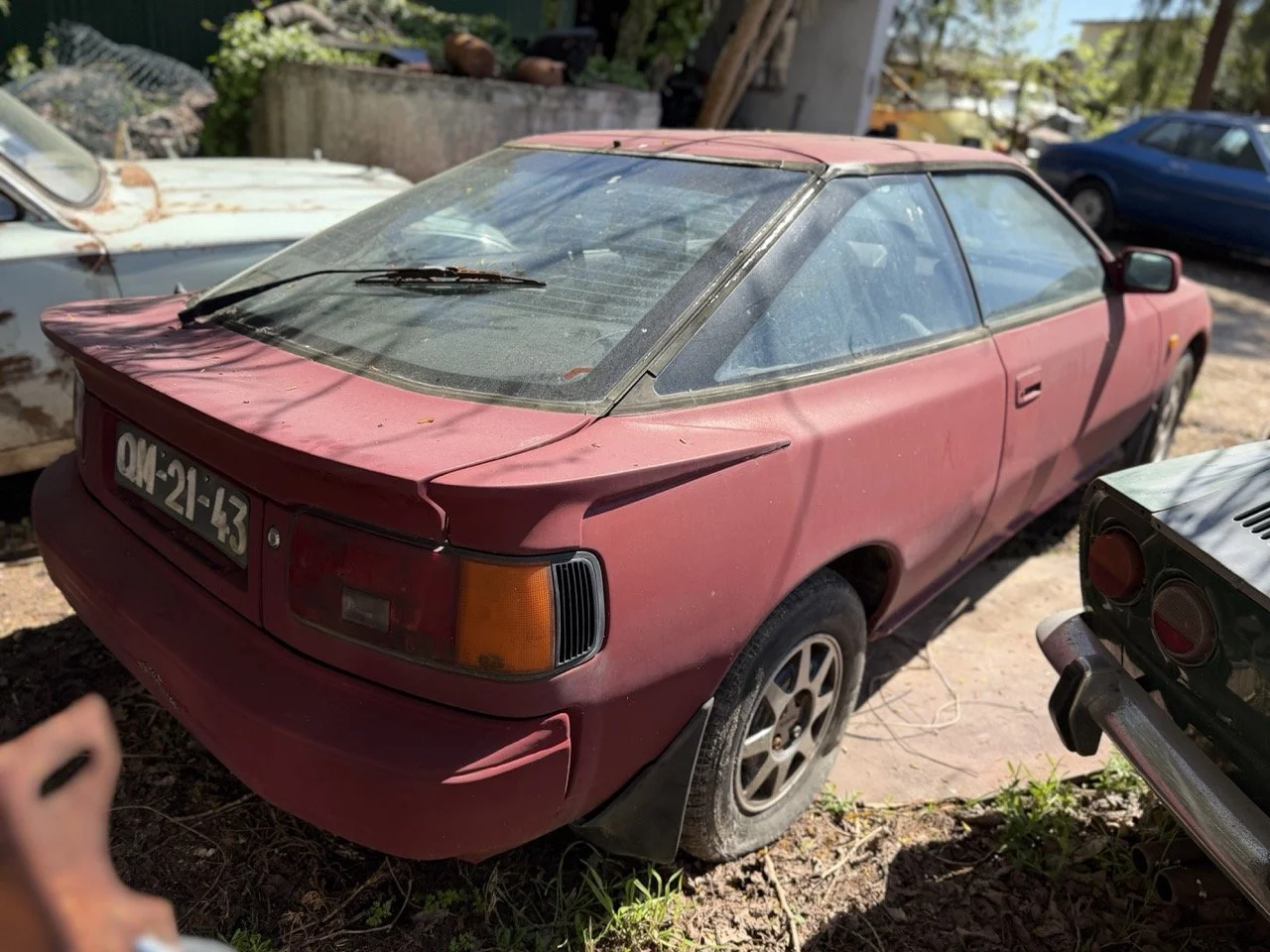 IMG_7612 – grande.jpeg