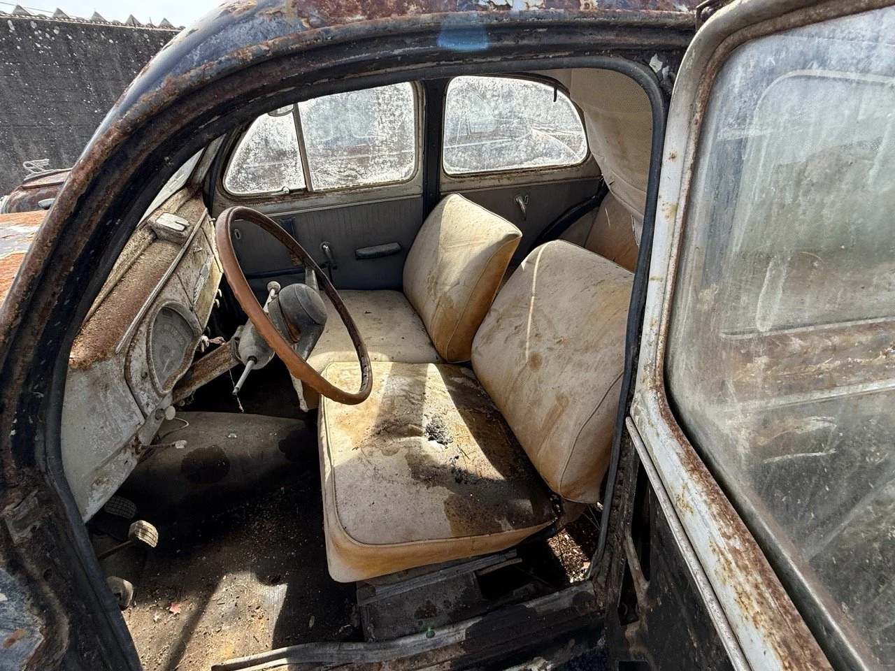 IMG_0409 – grande.jpeg