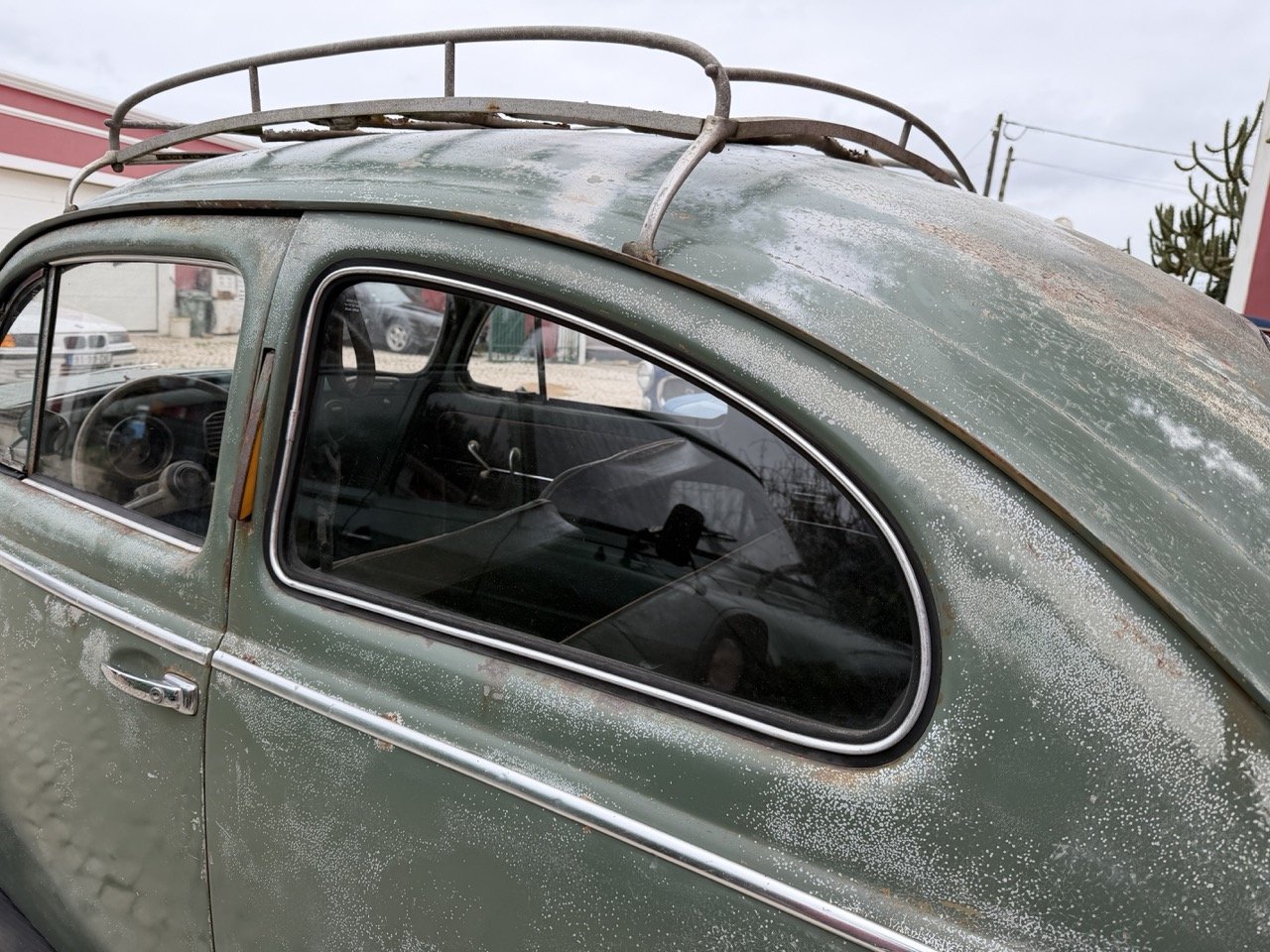 IMG_1200 – grande.jpeg