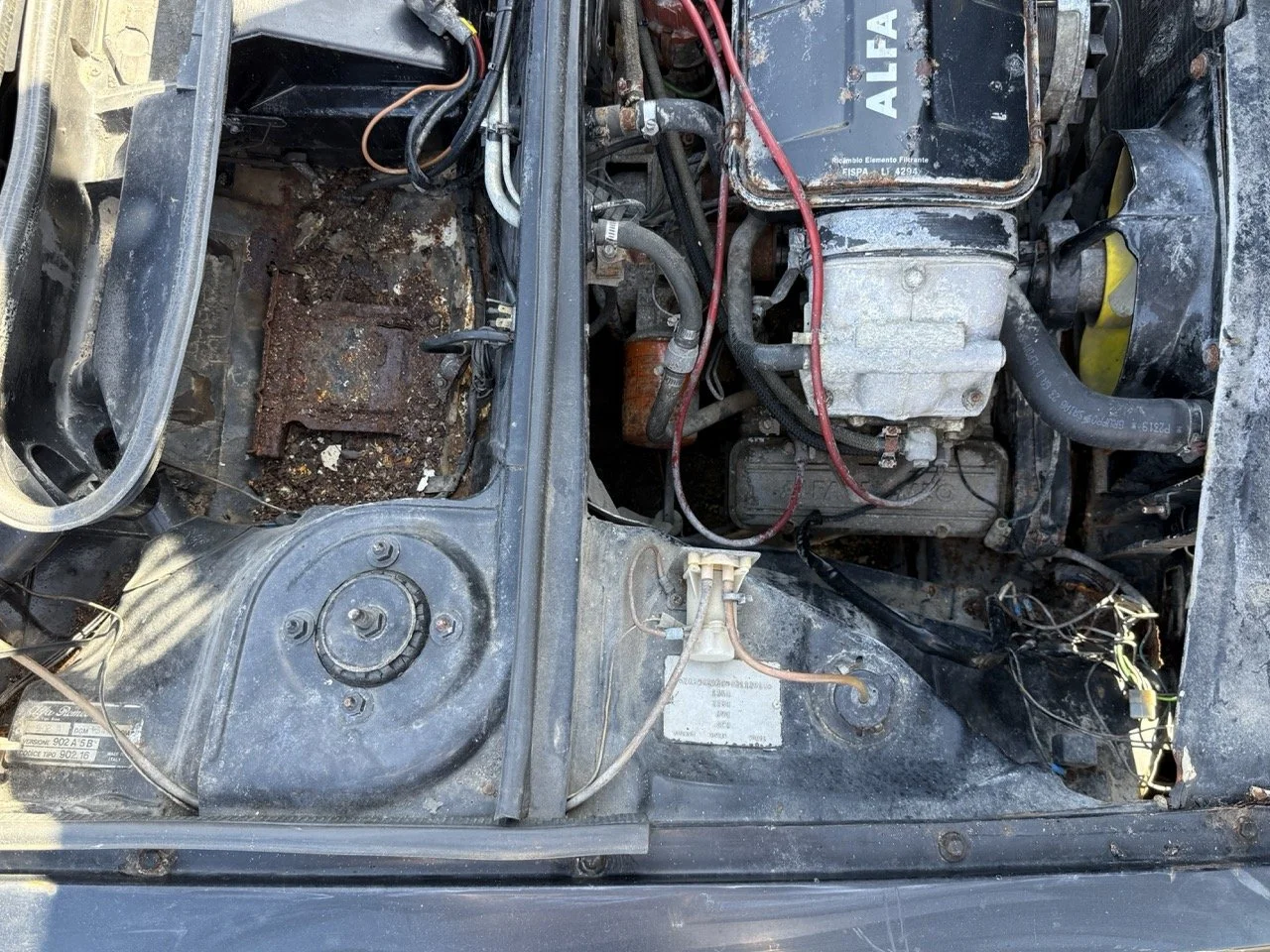 IMG_2937 – grande.jpeg