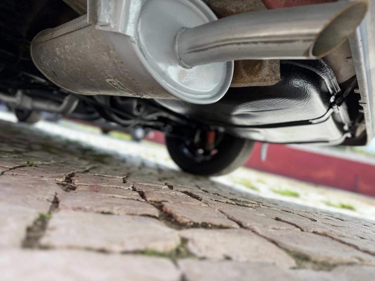 IMG_2461 – grande.jpeg