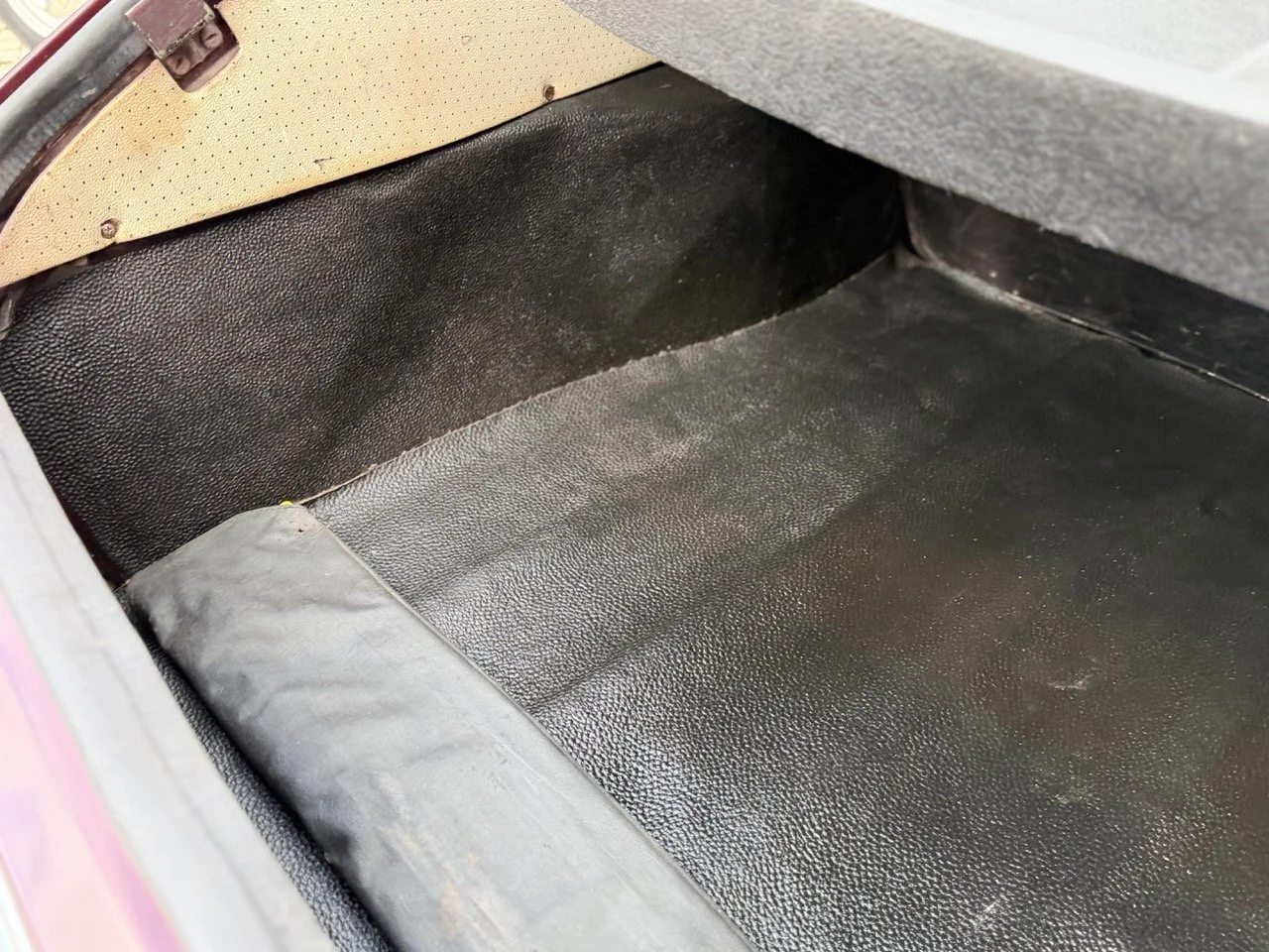 IMG_4916 – grande.jpeg