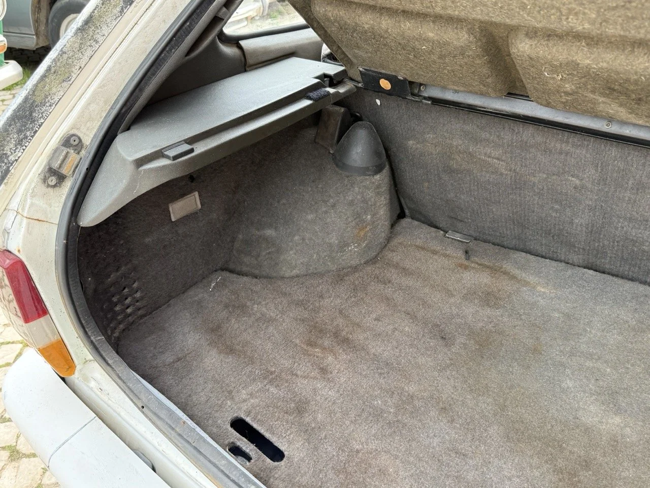 IMG_8576 – grande.jpeg