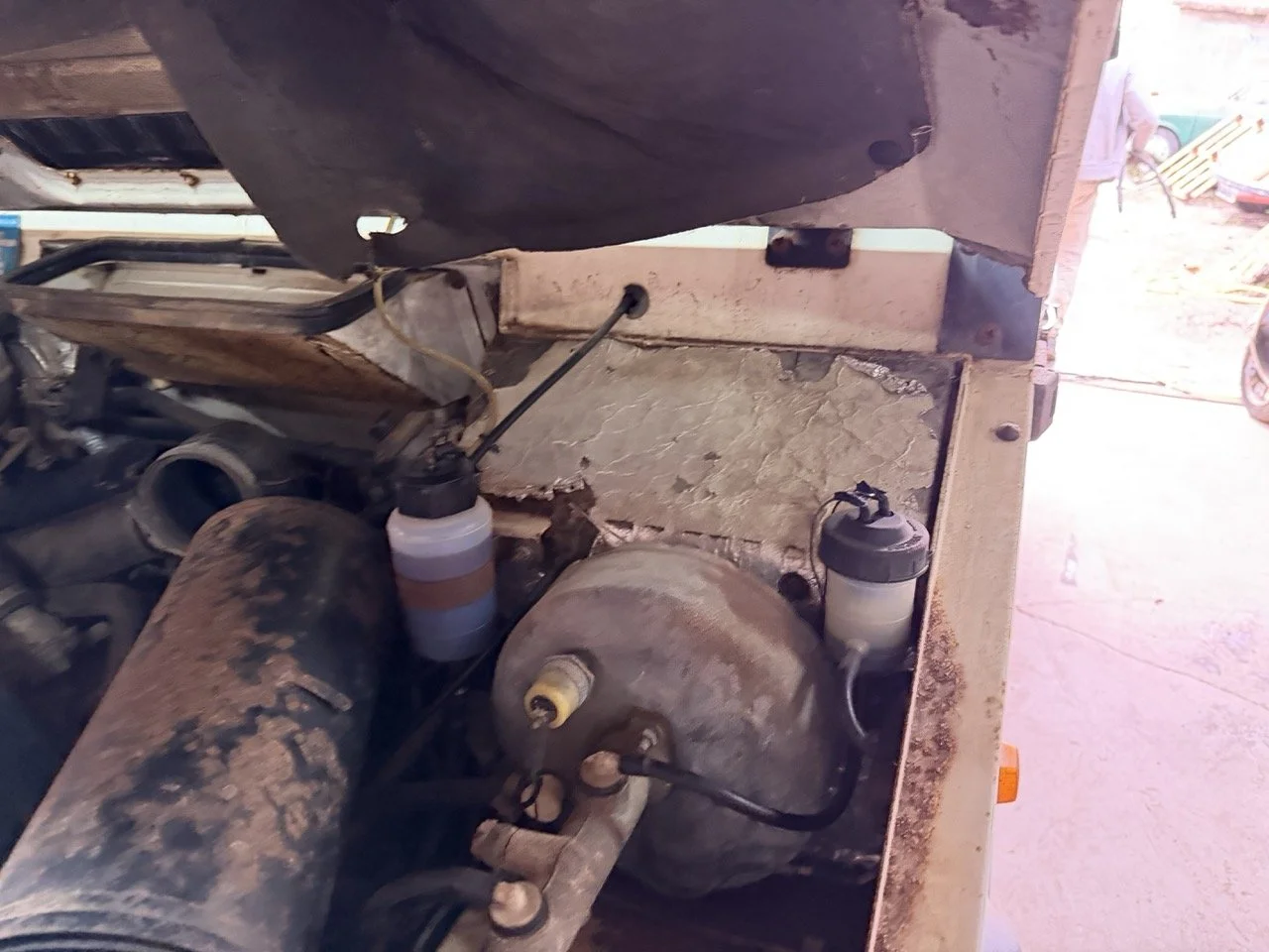 IMG_5206 – grande.jpeg