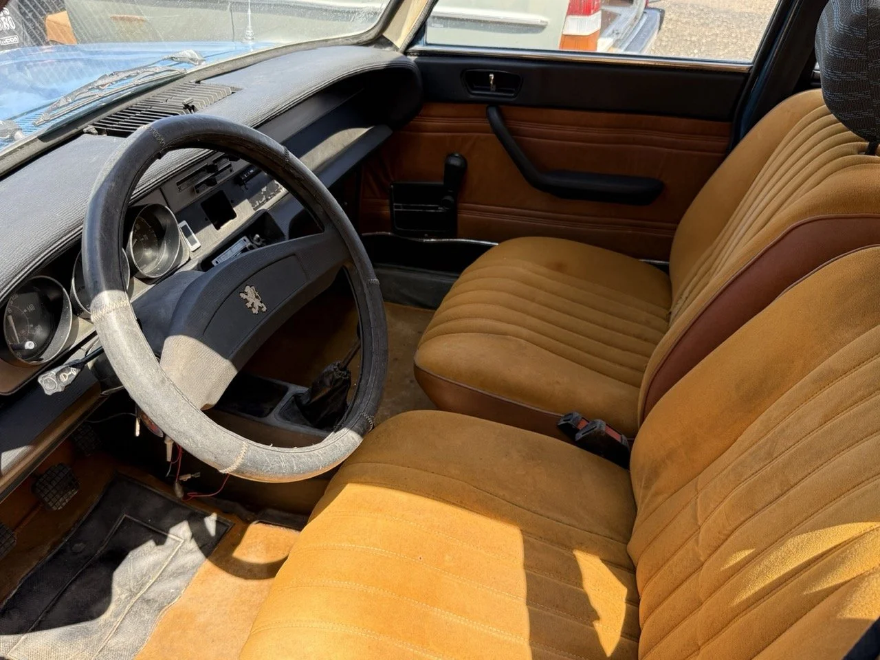 IMG_0744 – grande.jpeg