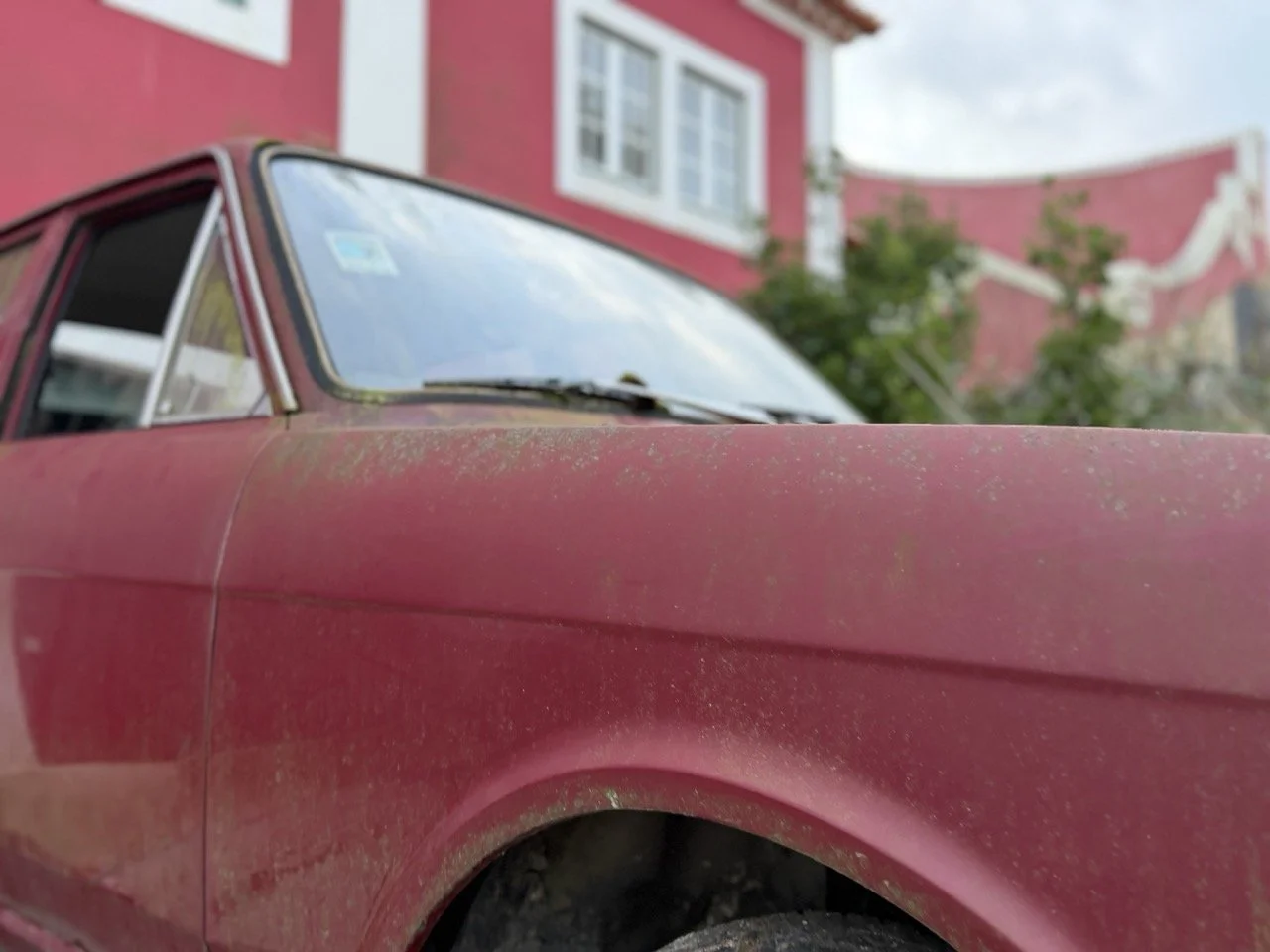 IMG_8981 – grande.jpeg