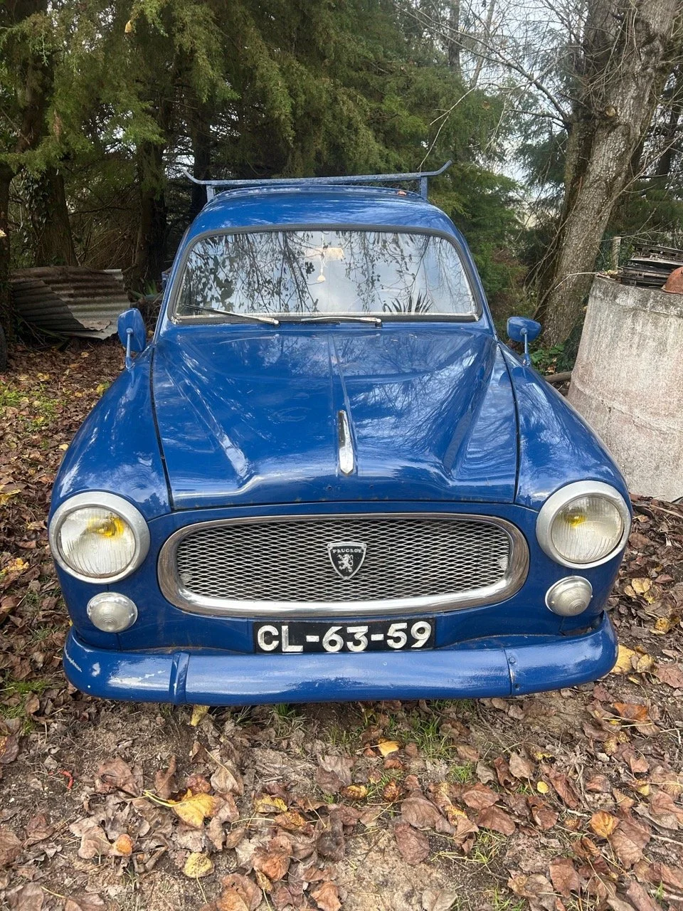 4bd485f4-ec2e-427d-a674-4dc48ecfe632 – grande.jpeg