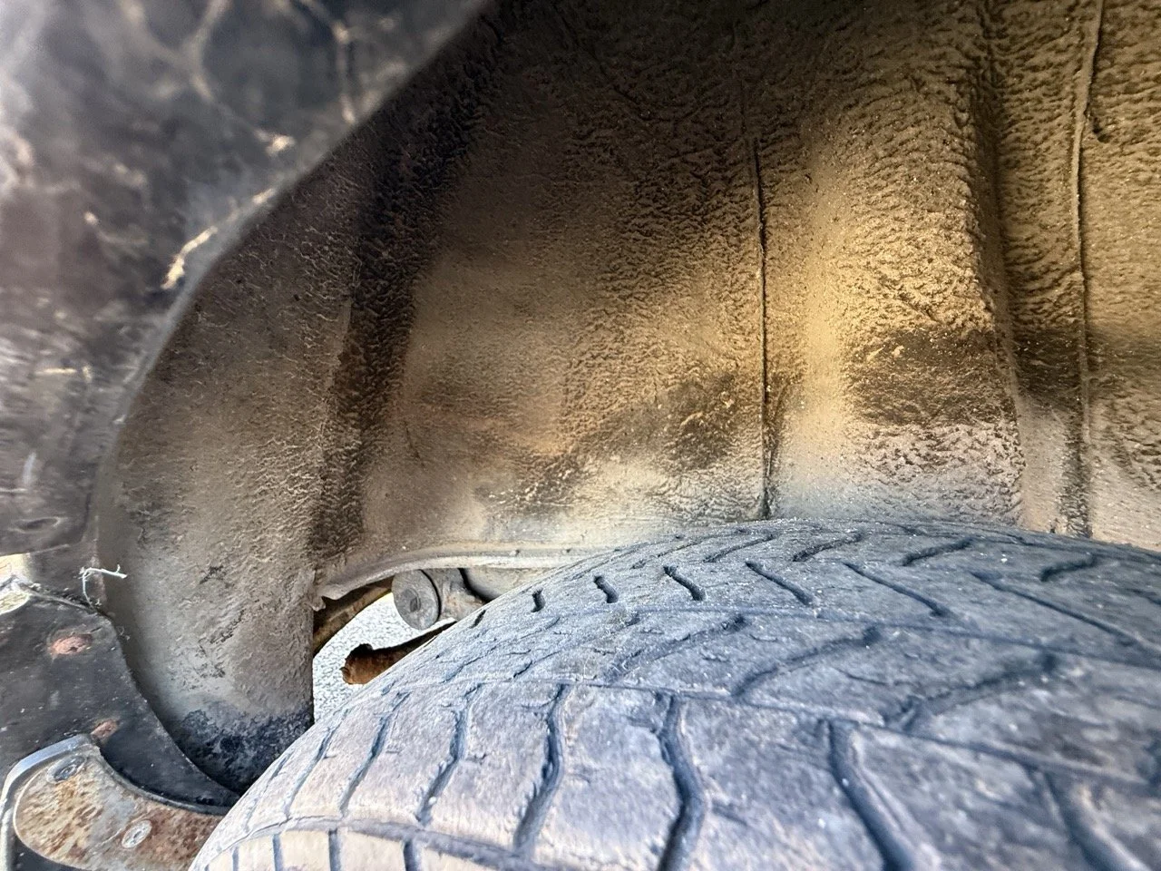 IMG_2955 – grande.jpeg