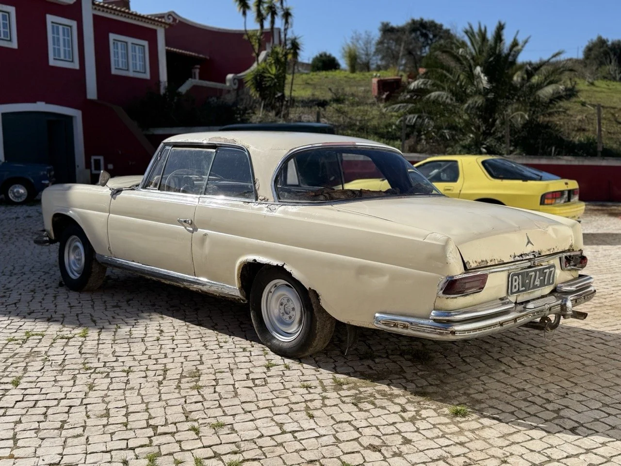 IMG_6999 – grande.jpeg