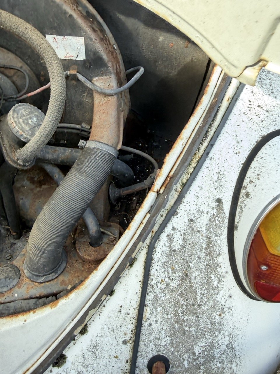 IMG_8573 – grande.jpeg