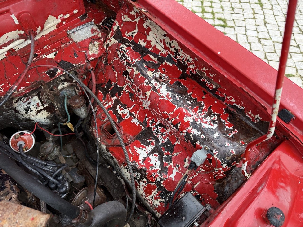 IMG_9680 – grande.jpeg