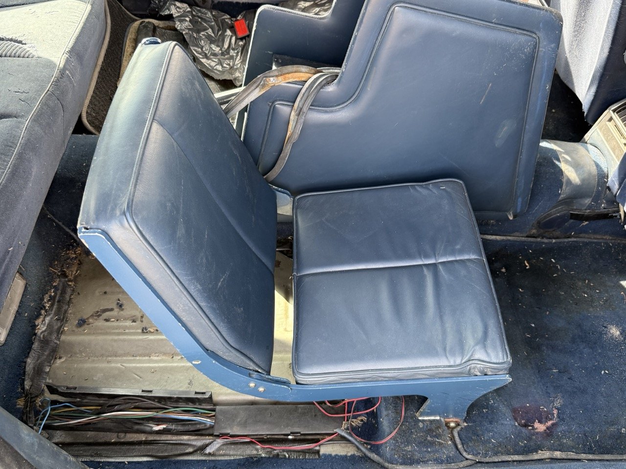 IMG_3434 – grande.jpeg