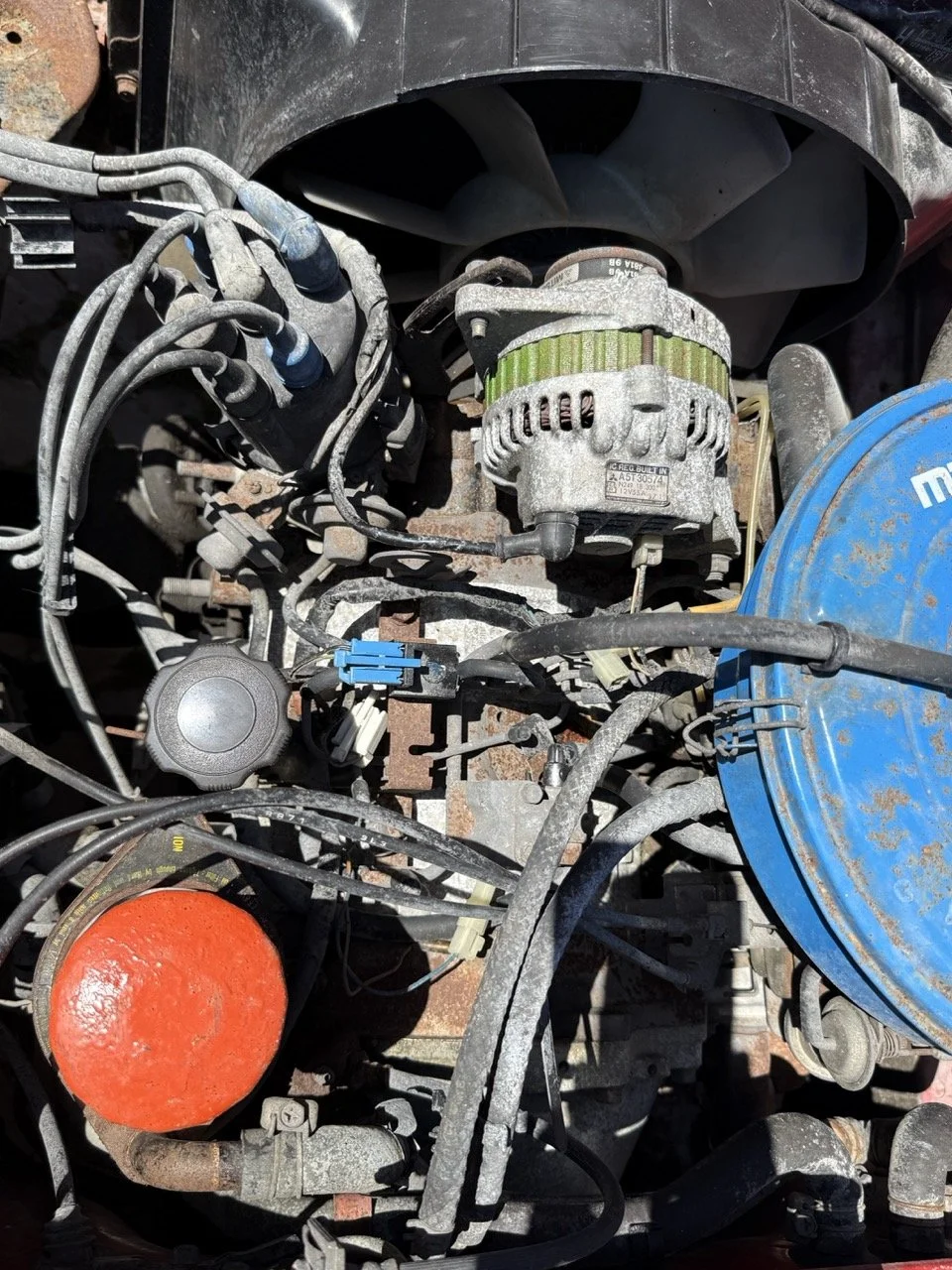 IMG_2054 – grande.jpeg