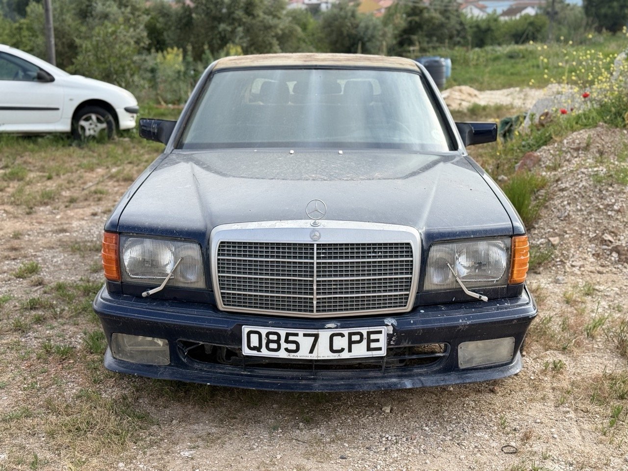 IMG_3342 – grande.jpeg