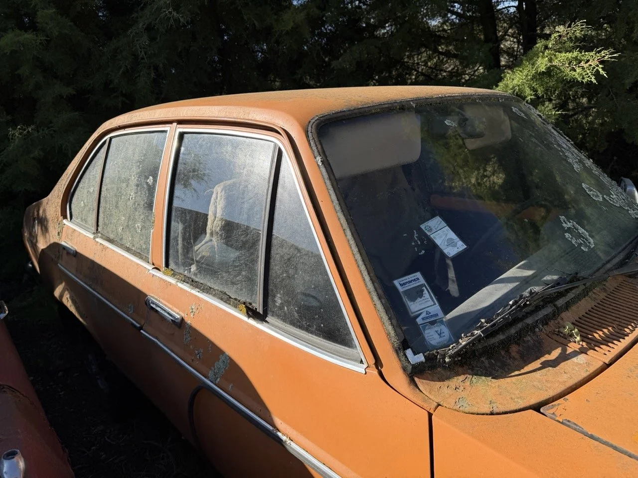 IMG_7711 – grande.jpeg