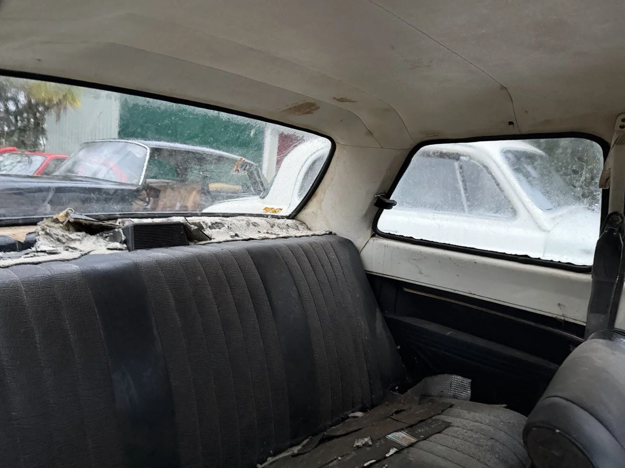 IMG_0141 – grande.jpeg