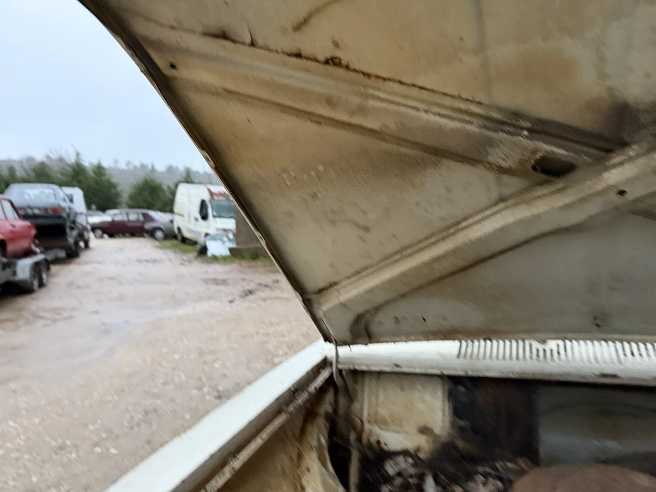 IMG_0165 – grande.jpeg