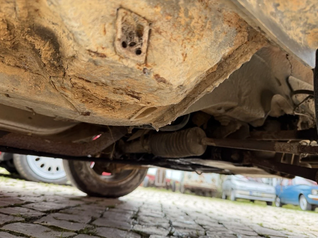 IMG_0556 – grande.jpeg