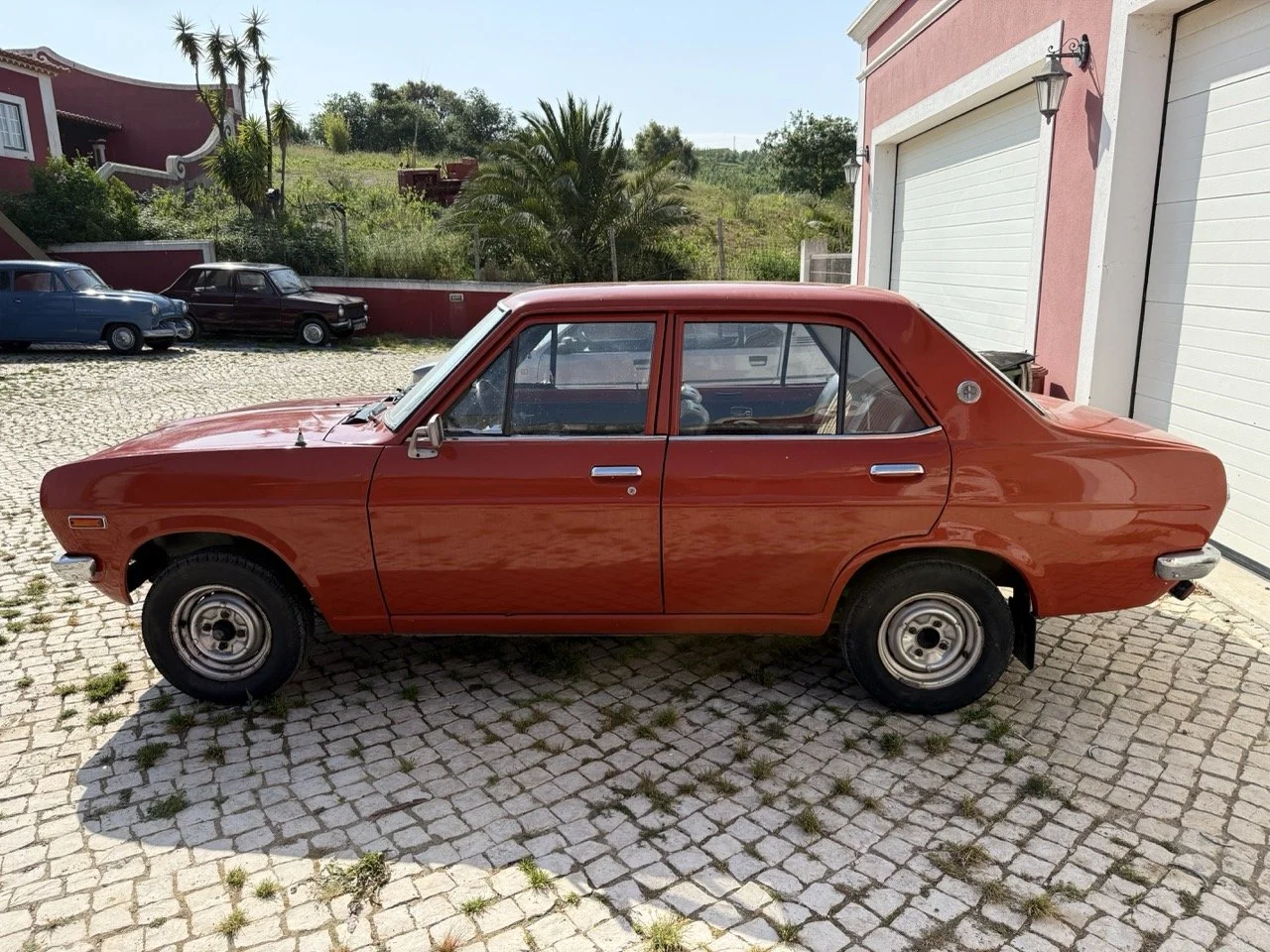 IMG_3592 – grande.jpeg