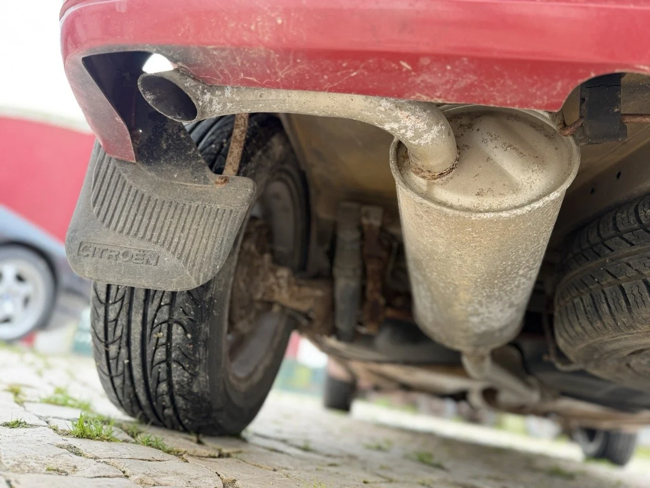 IMG_0431 – grande.jpeg