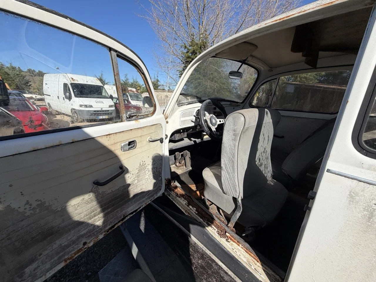 IMG_1863 – grande.jpeg