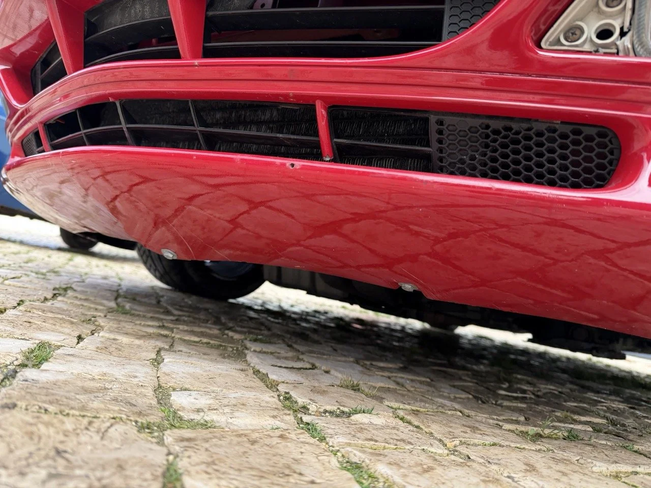 IMG_2295 – grande.jpeg