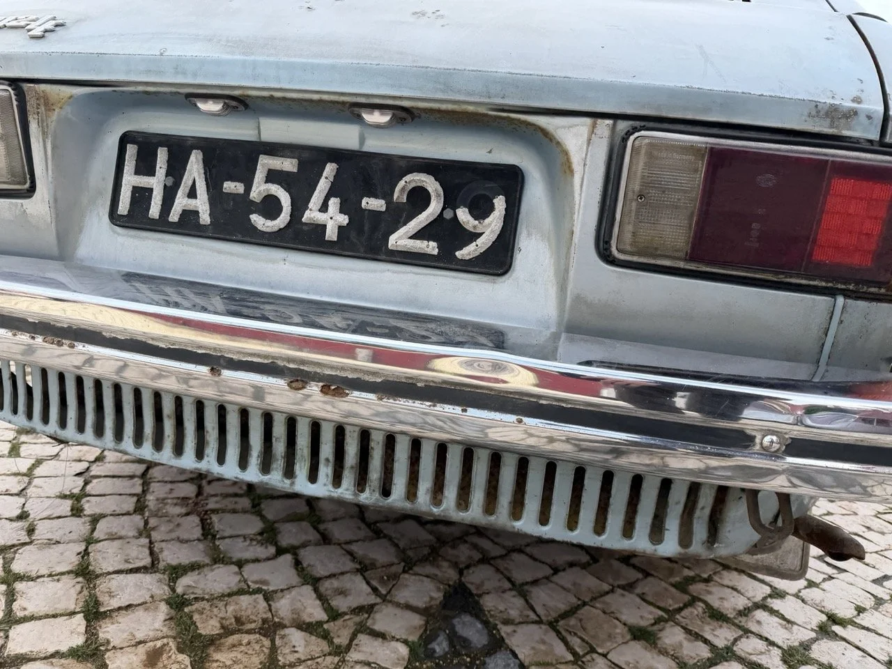 IMG_4865 – grande.jpeg