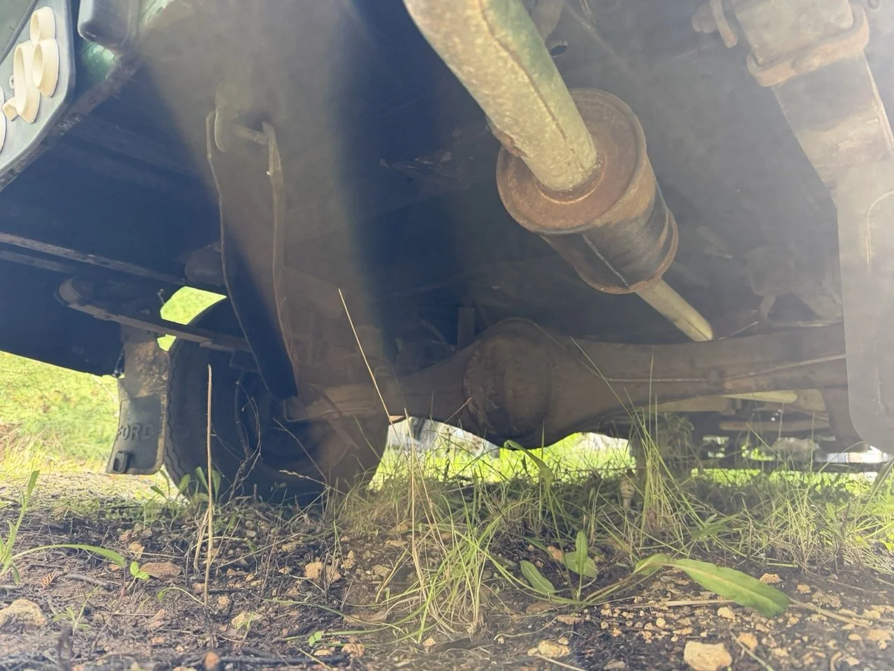 IMG_3905 – grande.jpeg