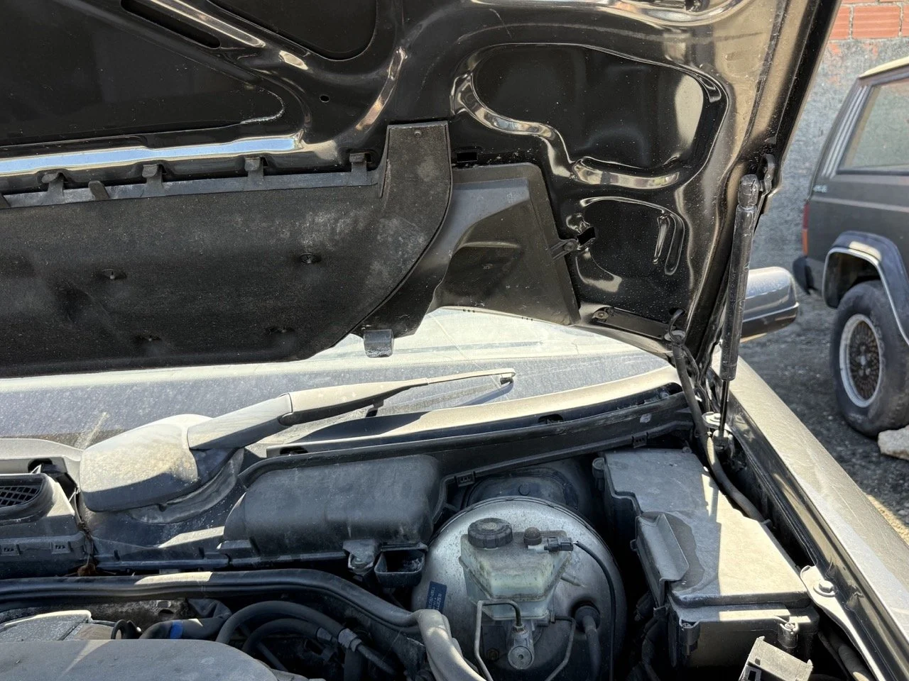 IMG_1782 – grande.jpeg