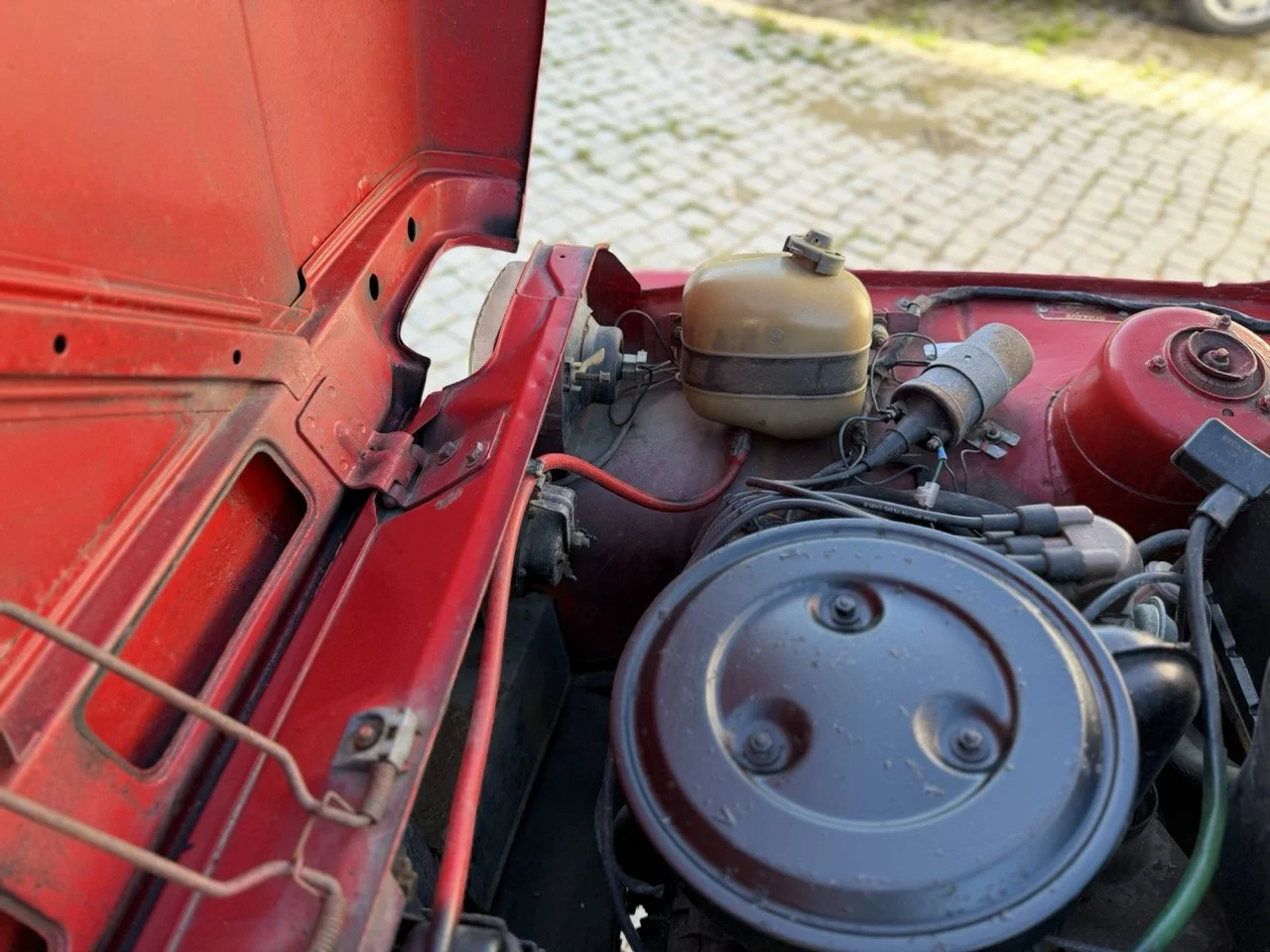 IMG_7170 – grande.jpeg