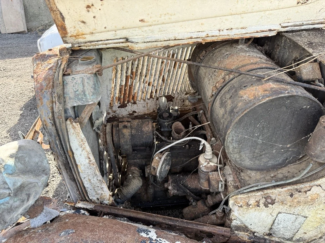 IMG_0361 – grande.jpeg