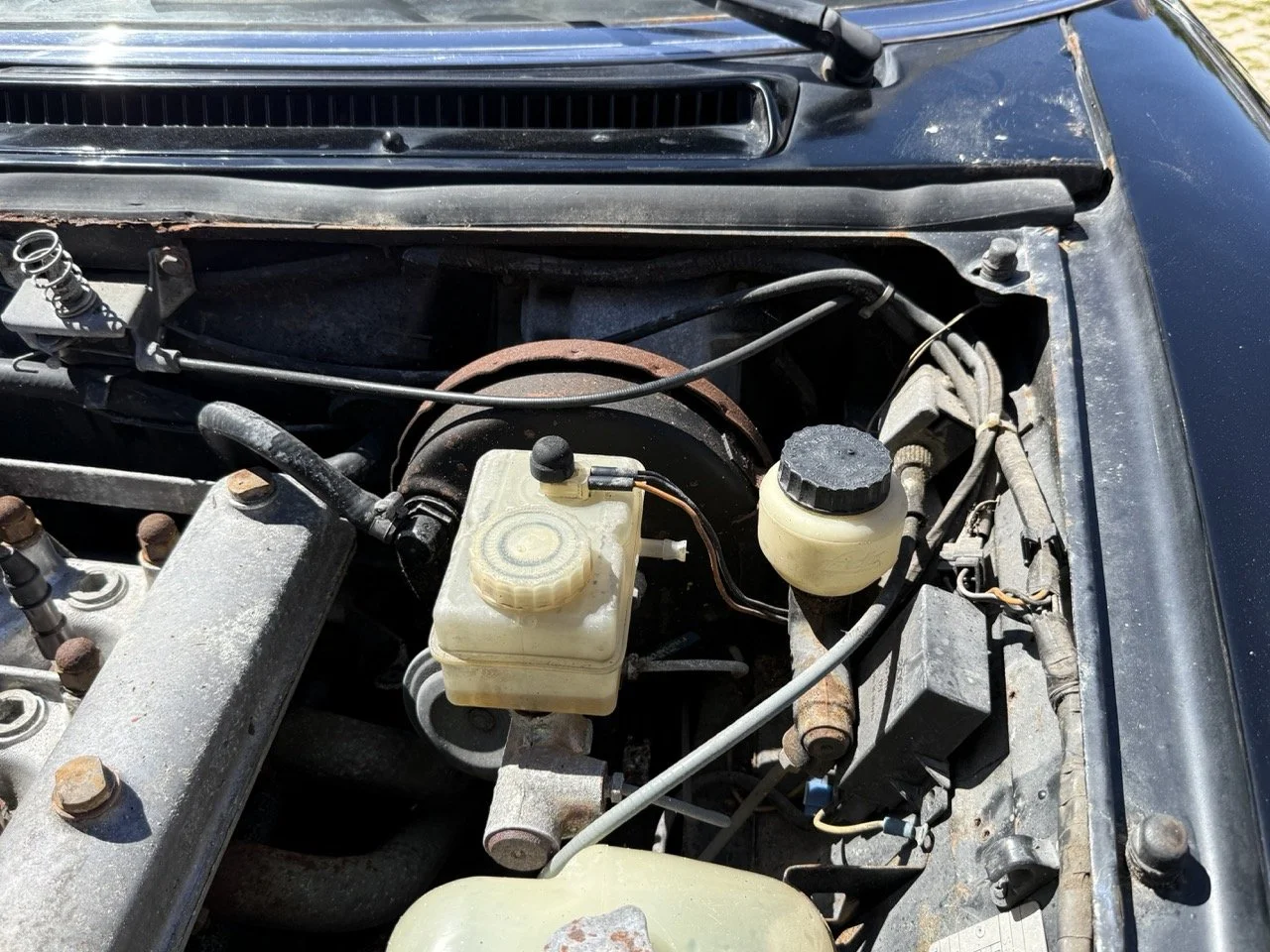 IMG_2225 – grande.jpeg