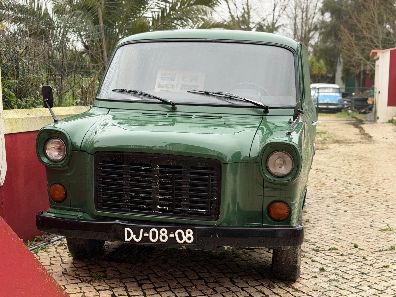 IMG_9928 – grande.jpeg