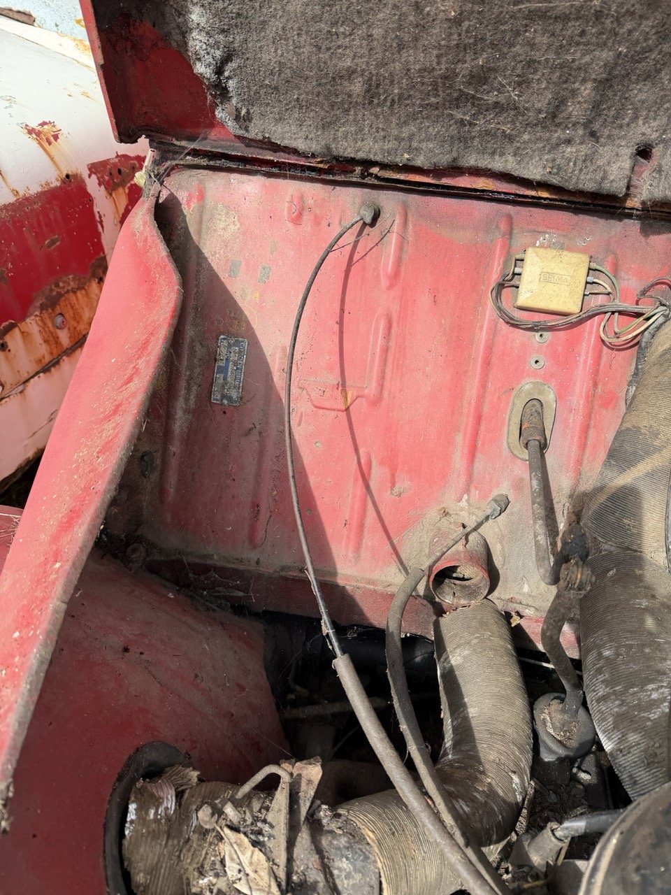 IMG_3863 – grande.jpeg